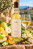 Ciabot Settelepri Chardonnay